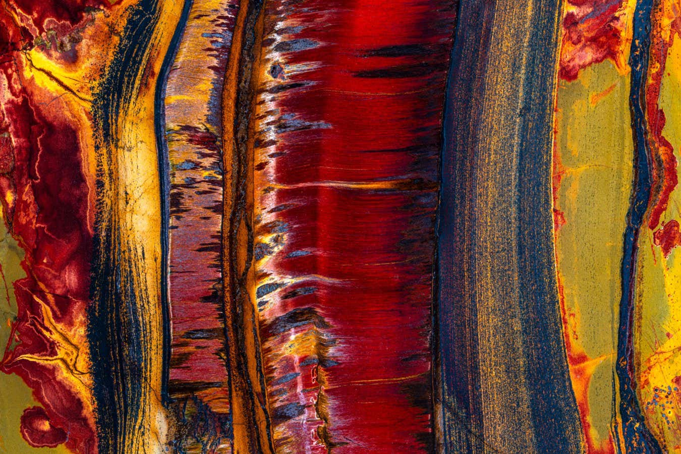Stunning photographs show the dynamic patterns of the natural world