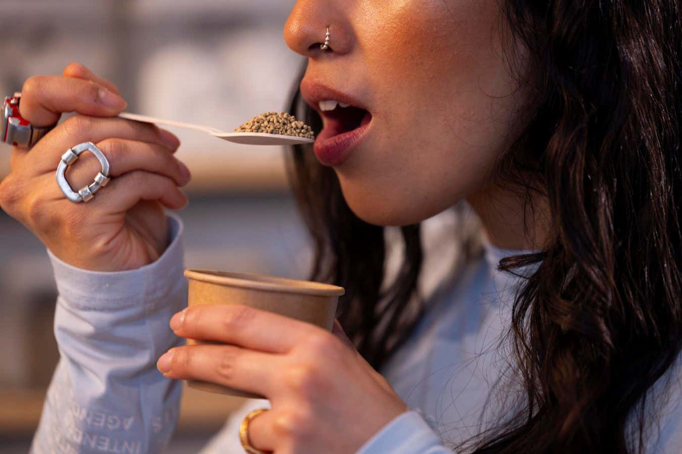 New Scientist recommends sampling the Museum of Edible Earth in London