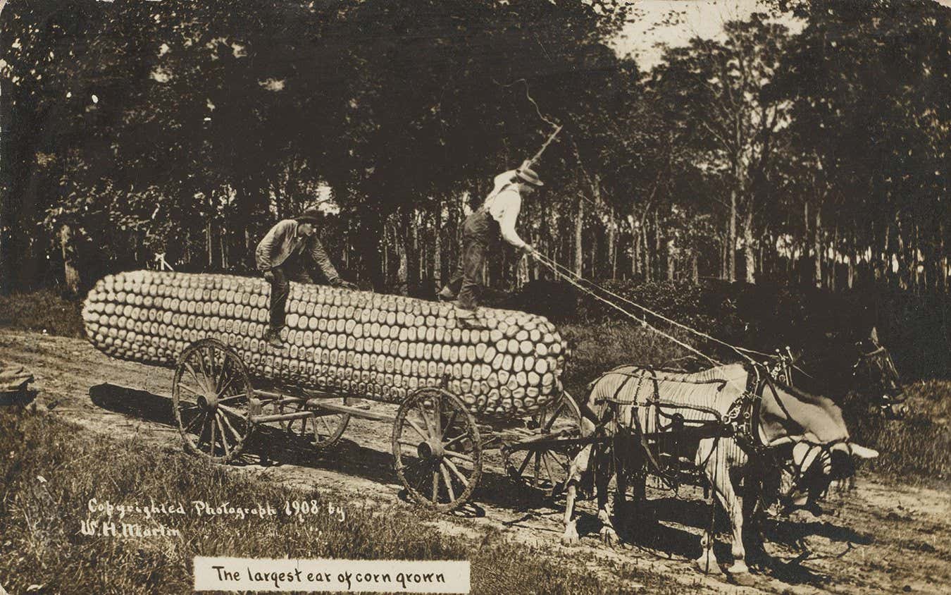 Startling images show how fake news isn't just a 21st century issue