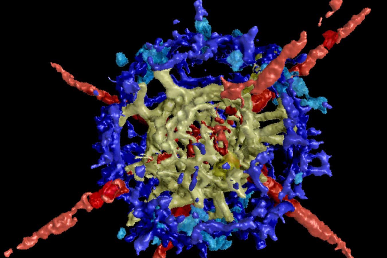 Hidden fossils reveal secrets of oceans before major mass extinction