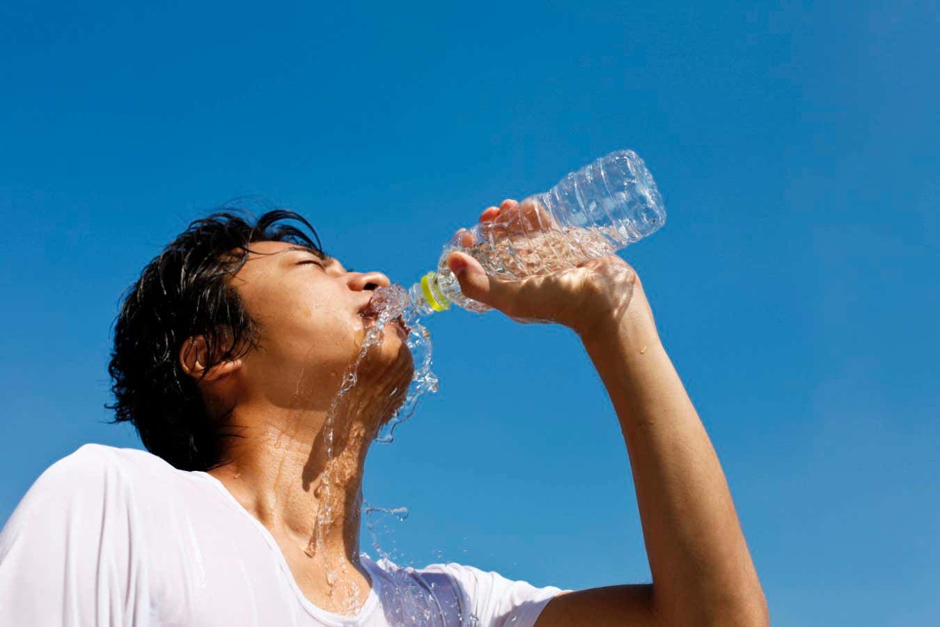 The 4 biggest myths about hydration, according to an expert