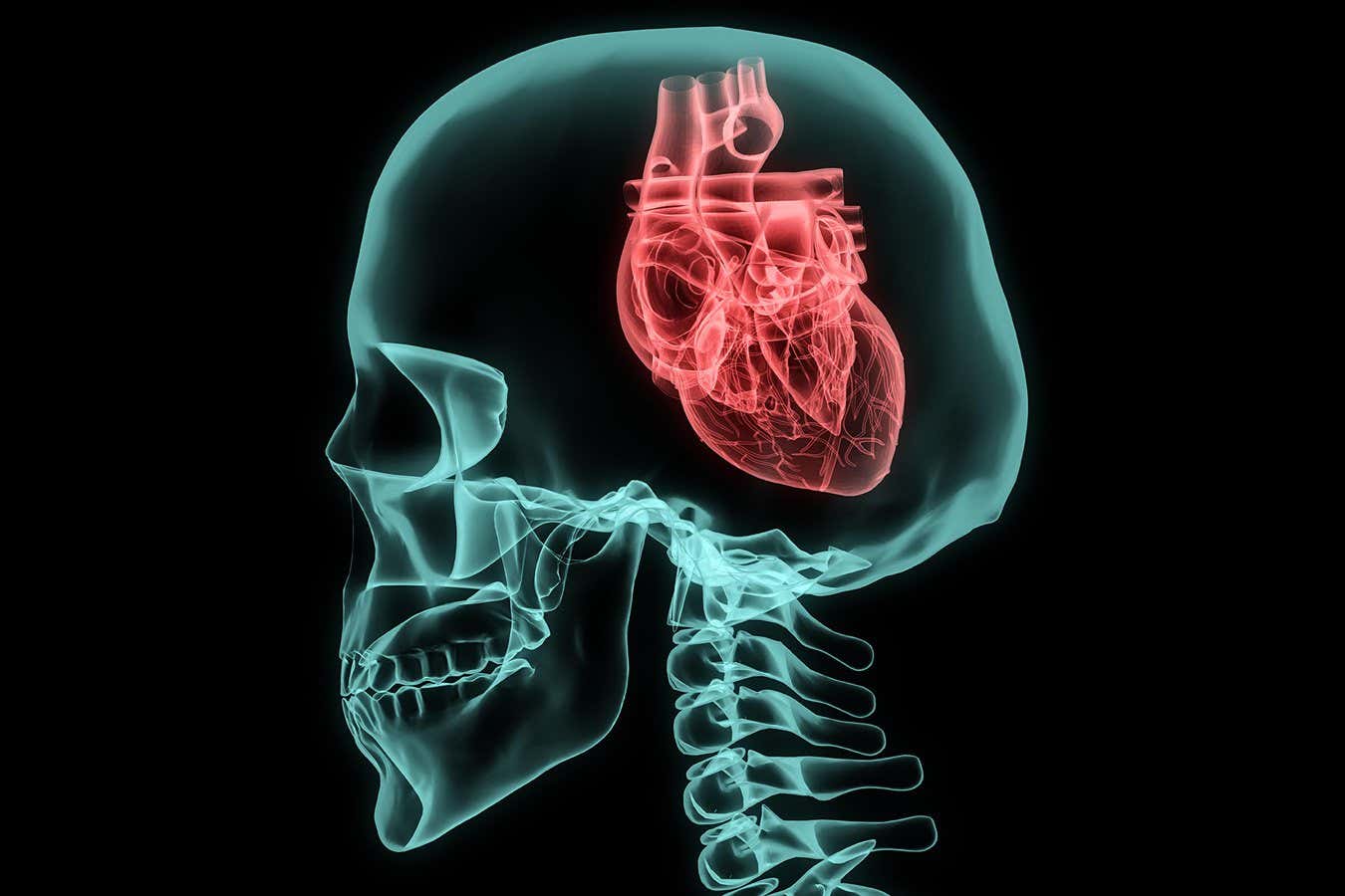 How your heart rate variability can offer an insight into your mind