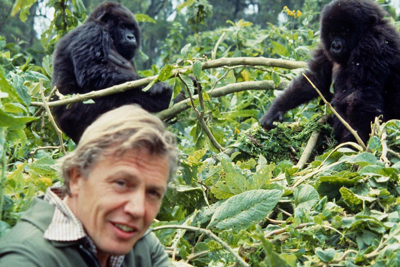 The greatest David Attenborough documentaries you really need to watch