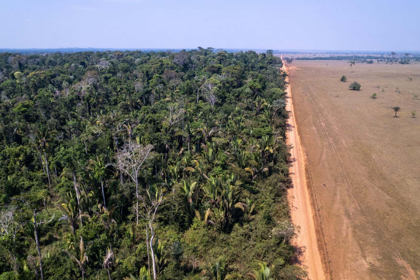Deforestation could trigger Amazon tipping point in the 2030s
