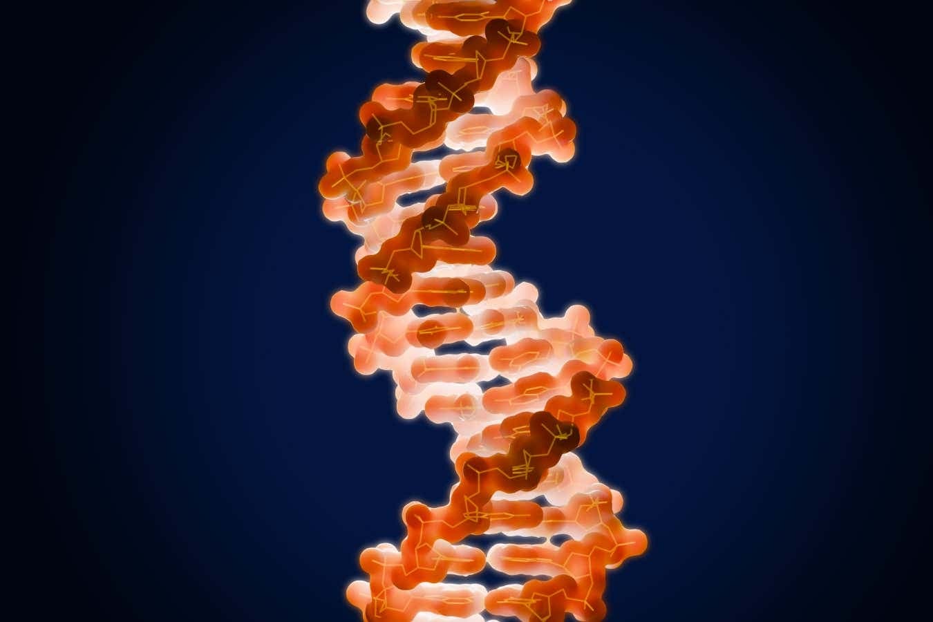 Read an extract from The Selfish Gene by Richard Dawkins