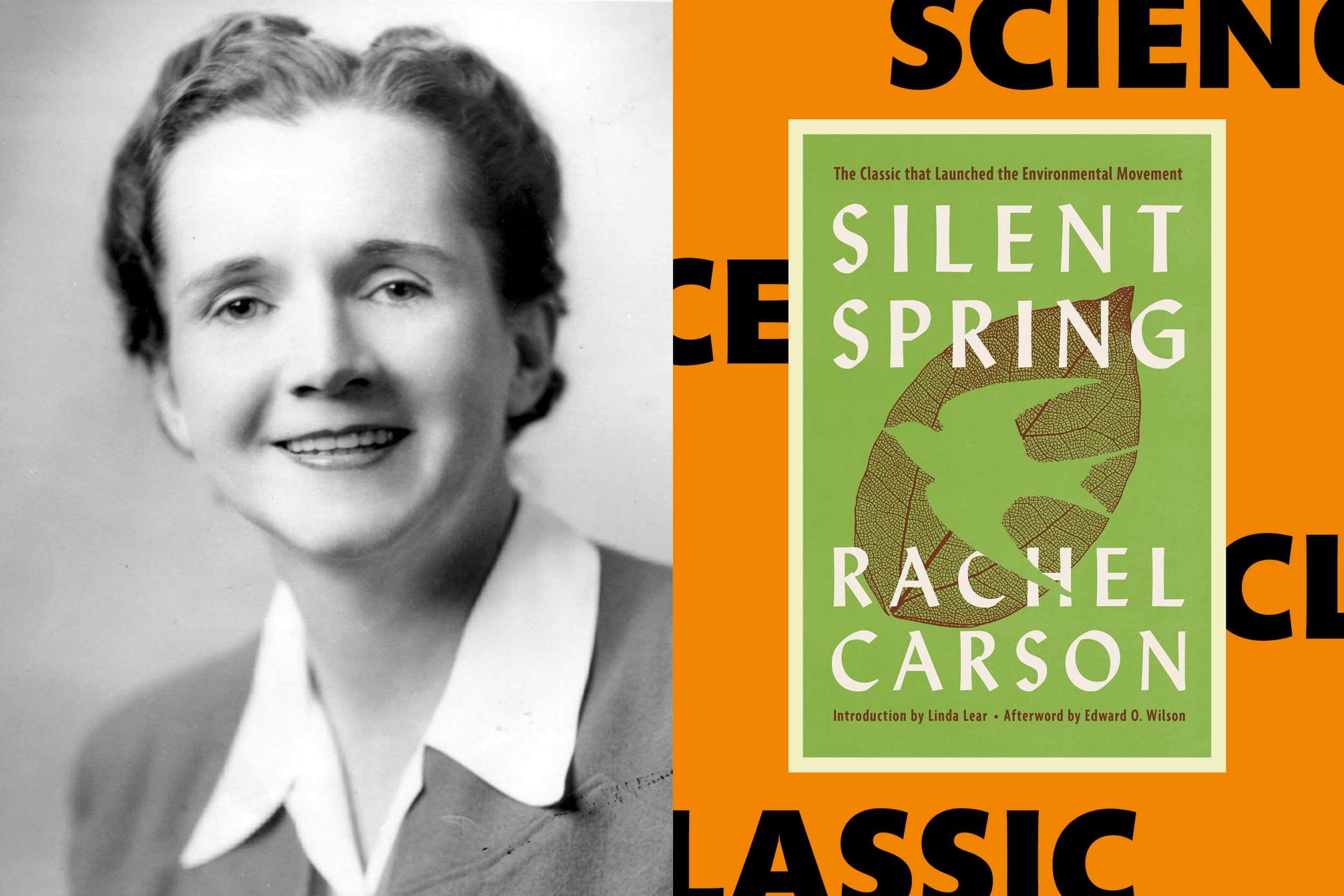 How Rachel Carson's Silent Spring changed the world in 1962