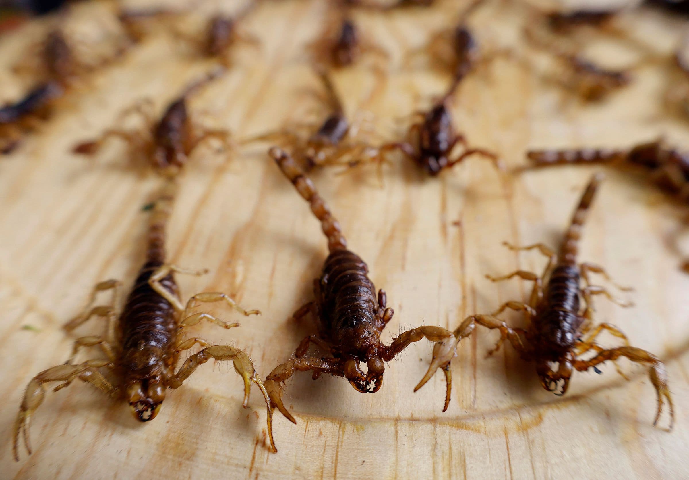 Venom and Hot Peppers Offer a Key to Killing Resistant Bacteria