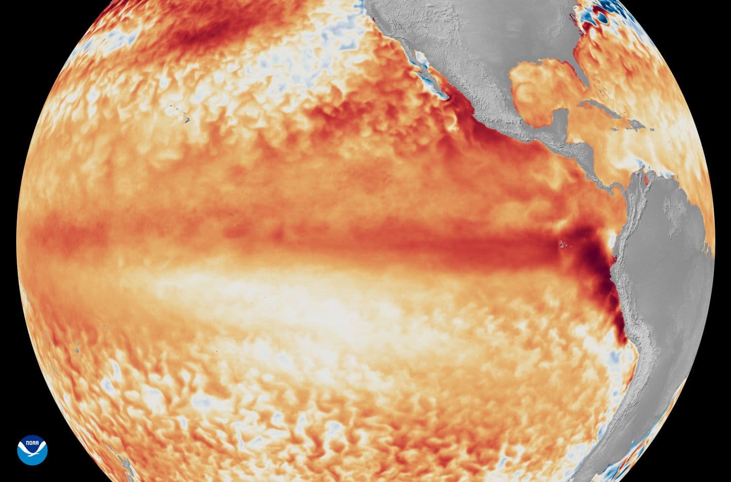 Is It a Super El Niño Year? It Could Turn the World’s Weather Upside Down