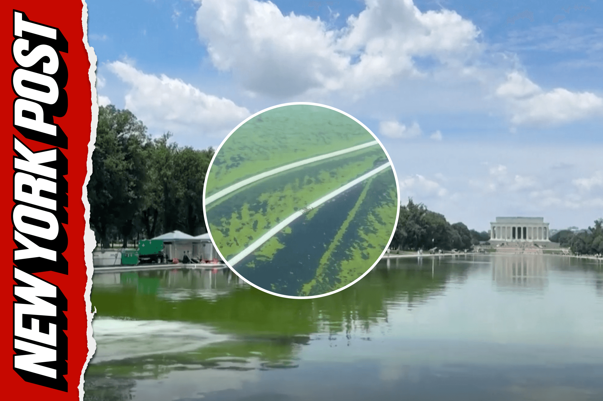 Trump’s ‘American flag blue’ reflecting pool turns green after algae takeover