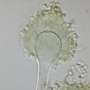 Study shows indoor air contains greater diversity of airborne fungi than previously thought