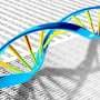 With large DNA fragment assembly, scientists can design microbes that produce countless complex products