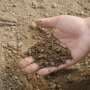 Fertilizer: The forgotten history linking the agricultural commodity and empire in wartime