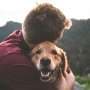 Dogs and humans are more alike than we thought, study finds