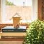 Can houseplants really purify the air in your home? What the science actually says