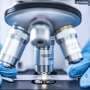 CDC sleuthing helps decipher drug-resistant infection rise