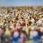 Overpopulation can impair fertility. A new study explains why