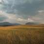 Slower winds help grasslands enhance carbon gain while saving water, study finds