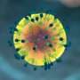 How developing immune cells fine-tune their signals