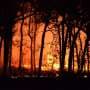 Wildfire risk is now spreading to cool climates like the Scottish Highlands and Irish uplands