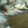 Every dollar spent on forest fuel treatments saves $3.75 in wildfire damages, study finds