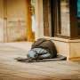 Autistic Australians three times more likely to be homeless, research reveals