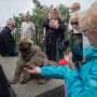 Gibraltar monkeys eat soil in junk food detox, study finds