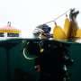 50 years of data reveals true extent of climate change impacts on kelp forests