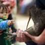 A citizen campaign returns iconic kiwi birds to New Zealand's capital after a century-long absence