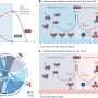 AI-guided catalyst turns CO₂ and waste into fertilizer at industrially relevant rates