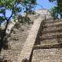 Archaeologists unearth evidence of dogs being traded within Mayan societies