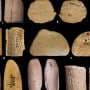 Archaeologists have discovered 12,000‑year‑old dice. Here's what they reveal about the history of play