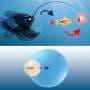 Physicists discover attractive forces between molecular condensates may cause running off