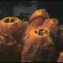 Chemists use sea sponge bacteria to create new molecules for drug discovery