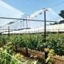 Climate change and wine grapes: Go, stay or change?