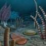 Discovery of new fossils in Northwest Canada changes view of early animal evolution