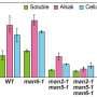 Do polysaccharide-degrading enzymes also help build polysaccharides?