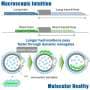 Dynamic nanogates let longer molecules pass faster through flexible pores