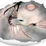 Embryo fossil found in South Africa is world's oldest proof that mammal ancestors laid eggs