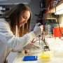 Faster gene screening method targets deadly fungus