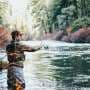 Recreational fishing in the US catches far more fish than previously estimated