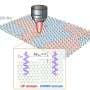 'Flawless on the outside, flipped within': Detecting hidden defects in 2D dielectrics with light
