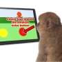 Gaming monkeys' curiosity: Japanese macaques actively explore moderately uncertain stimuli