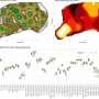 Generative AI may significantly reduce the number of animal experiments