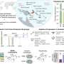 Genomes from Oceania offer new clues to human evolution