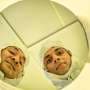 New form of NAND flash data storage for deep space missions can survive 1 million rads