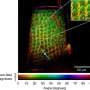 Giving X-ray vision a sense of direction