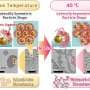 Gold nanoparticles that behave like a liquid open path to adaptive materials