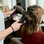 A cut, a color and the burden of care work
