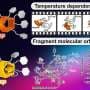 Hidden molecular code in tosyl groups directs pillararene formation and assembly, study finds