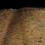 Cut marks on 1.6 million-year-old bones reveal early humans moved prized meat
